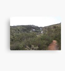 Lesmurdie Falls Canvas Print