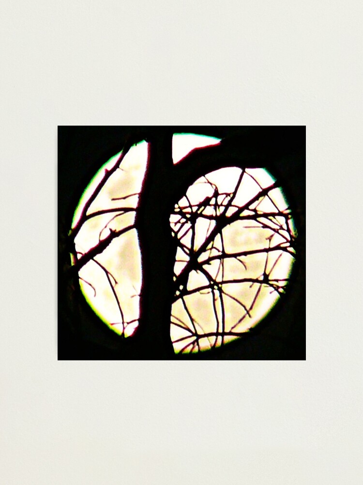 Alternate view of Untitled Photographic Print