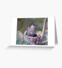 Hummingbirds Tiny Cycle of Life # 3 Greeting Card