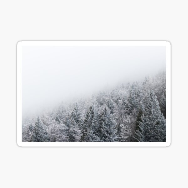Frozen forest Sticker