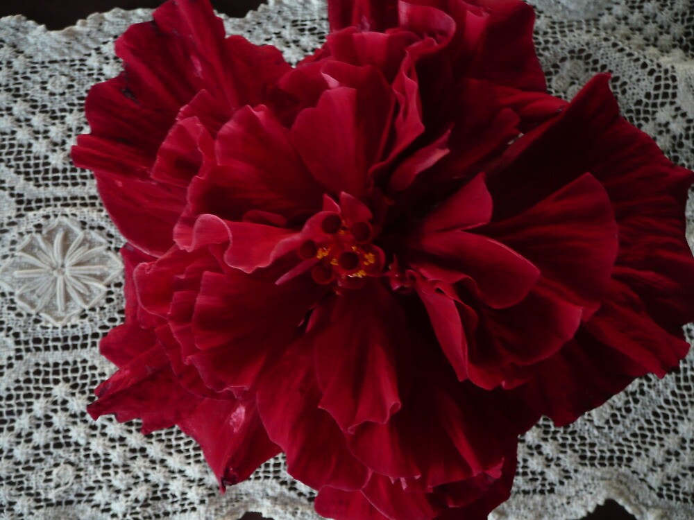 See the source image