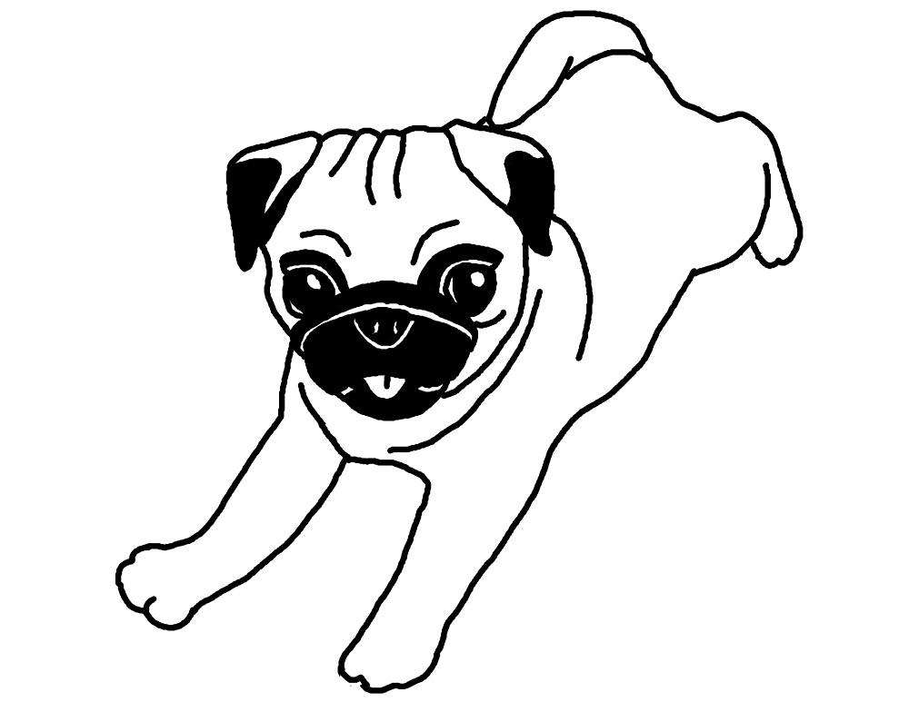 Pug, dog, drawing