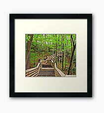 Going Down? Framed Print