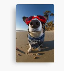 Love Goggles Canvas Print