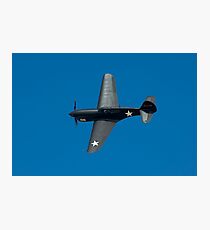 Warbird Photographic Print
