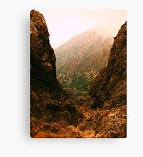 I'm really out there but I like the view Canvas Print
