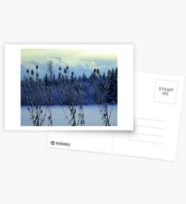 Teasles & Clouds featured in "Cees Fun Artsy Friends" Postcards