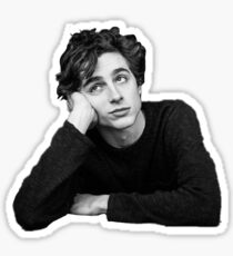 Timothee chalamet Sticker