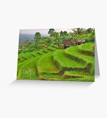 Green rice terraces Greeting Card