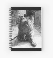 Sketching Toto Spiral Notebook