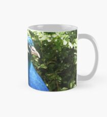 Peacock Pride Mug