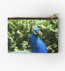 Peacock Pride Studio Pouch