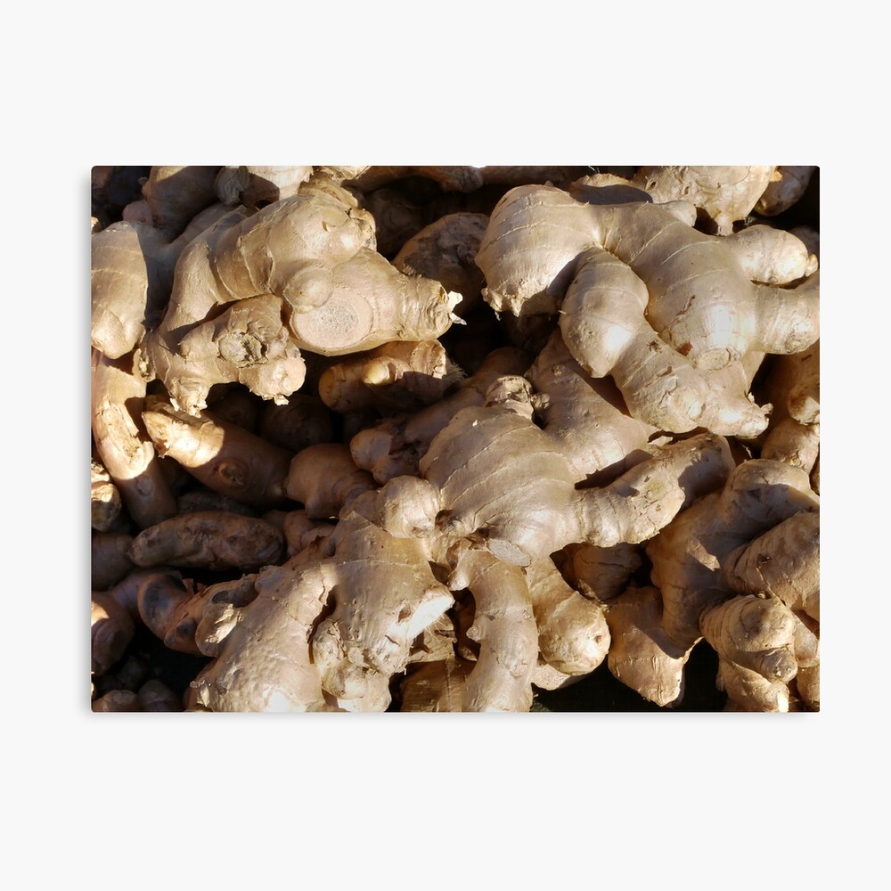 Food - ginger Canvas Print