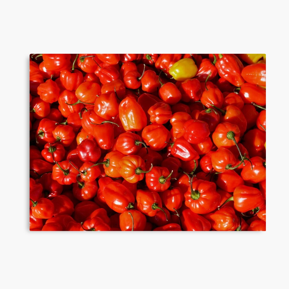 Food - small red peppers Canvas Print