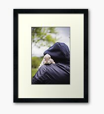 Hase Gerahmtes Wandbild