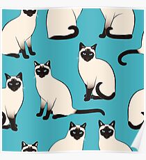 Siamesische Katzen - spärliches Muster Poster