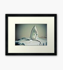 ~ domesticity ~ Framed Print