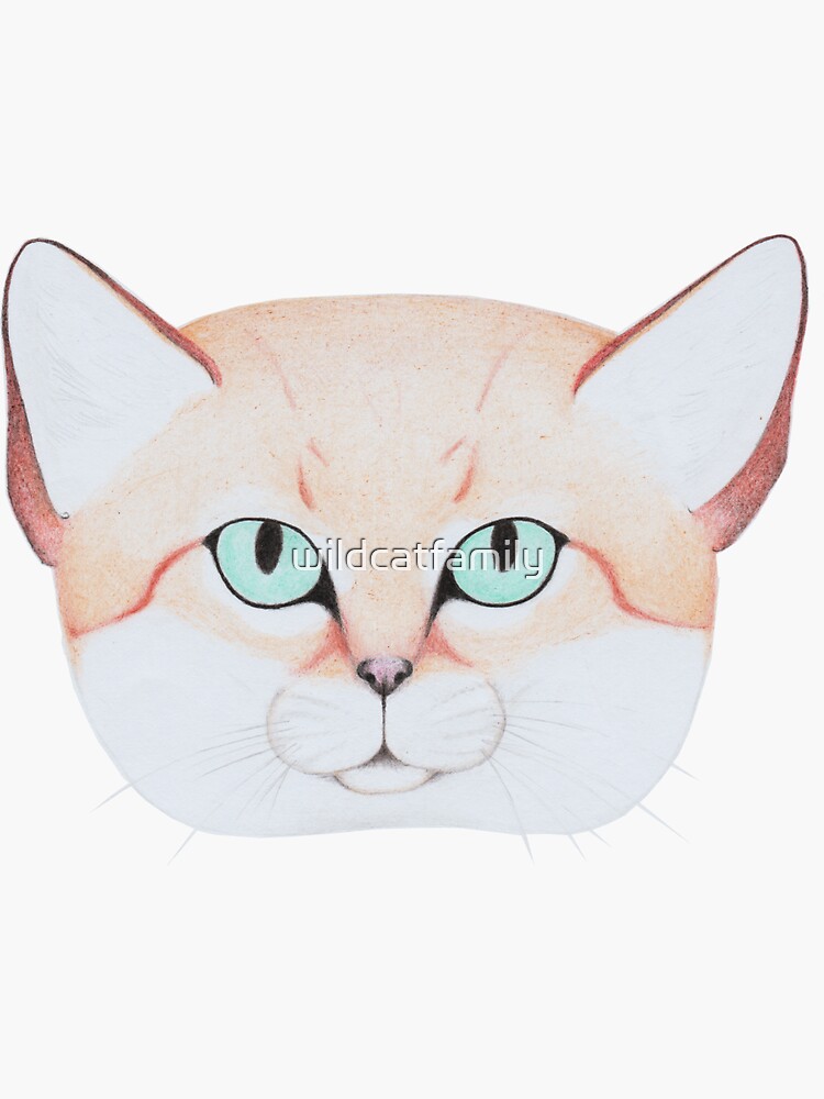 Sand Cat by wildcatfamily