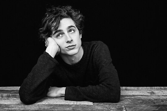 timothee chalamet