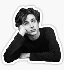 timothee chalamet Sticker