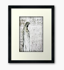 Virgin Mary Framed Print