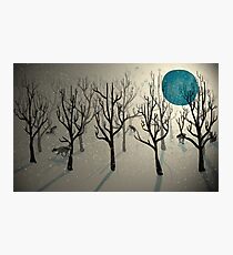 Among the Wolves... Photographic Print