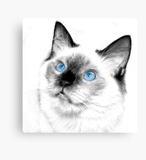 Blue eyes to drown in Canvas Print