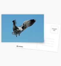 Coming in..... Postcards