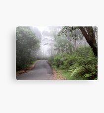 Into The Mist Canvas Print