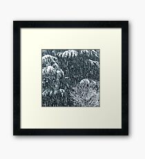 snowstorm Framed Print