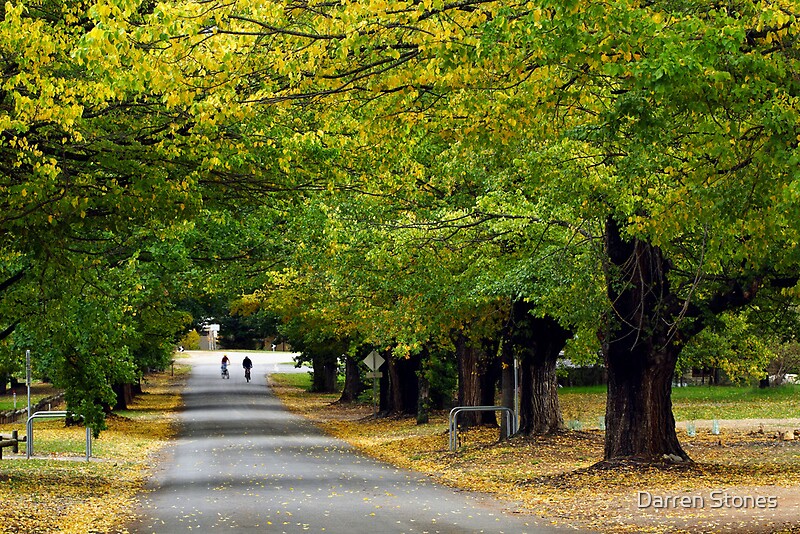 "Autumn in Bright, Victoria, Australia" by Darren Stones Redbubble