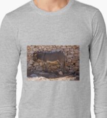 Donkey in the Shade Long Sleeve T-Shirt