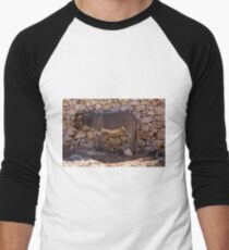 Donkey in the Shade Men's Baseball ¾ T-Shirt
