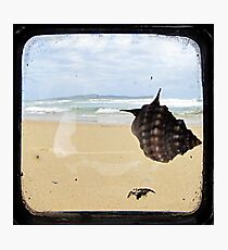 Longing to Return - TTV Photographic Print