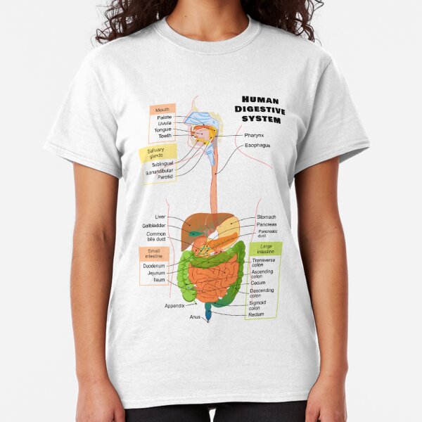 digestive system on t shirt