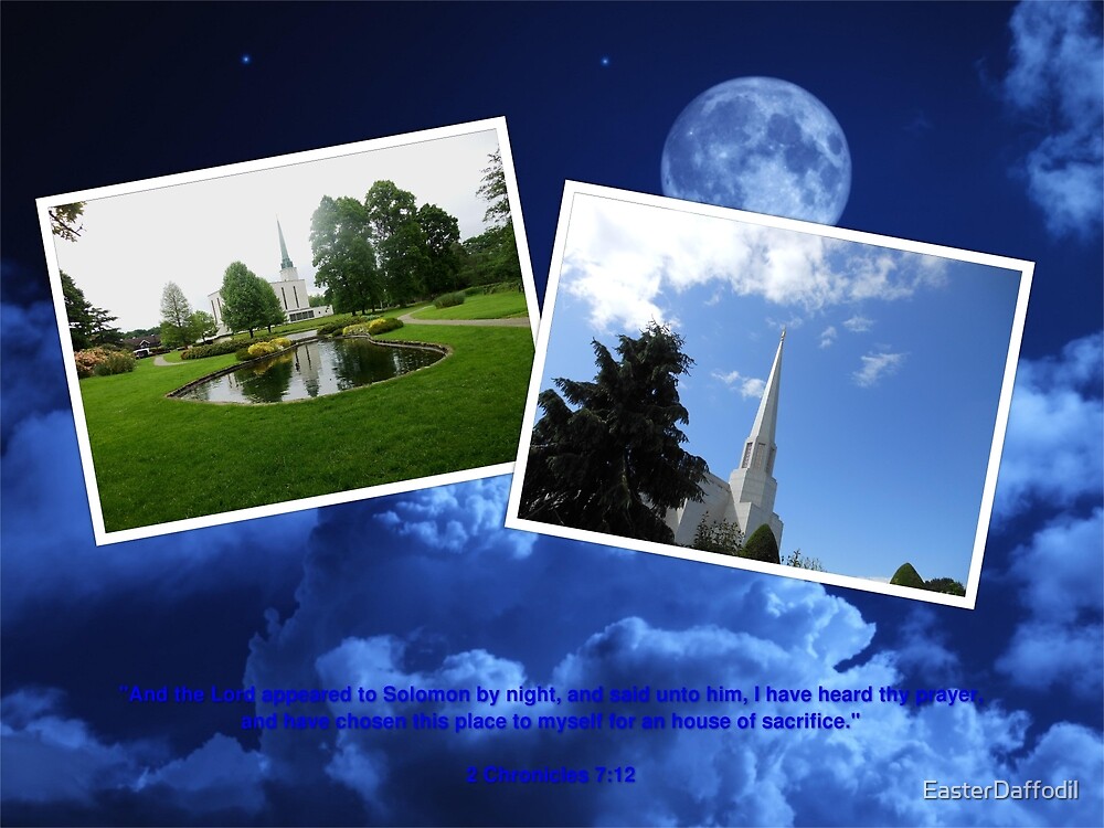 "Solomon's Vision" by EasterDaffodil Redbubble