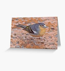 Dig the eyebrows! Greeting Card