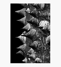 Armour Photographic Print