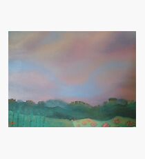 Vineyard Photographic Print