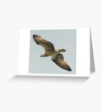 visual poetry Greeting Card