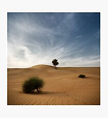 Desert Poetry I - UAE, Dubai Photographic Print