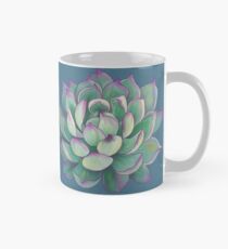 Taza Planta suculenta