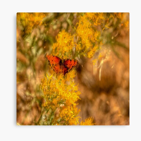 Artsy Butterfly Canvas Print