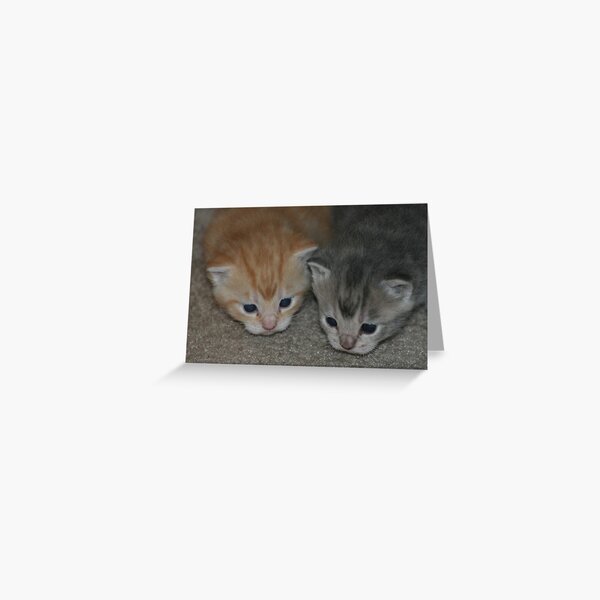 What do you think it is? Greeting Card
