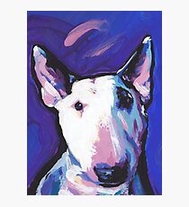 Bull Terrier Dog Bright colorful pop dog art Photographic Print