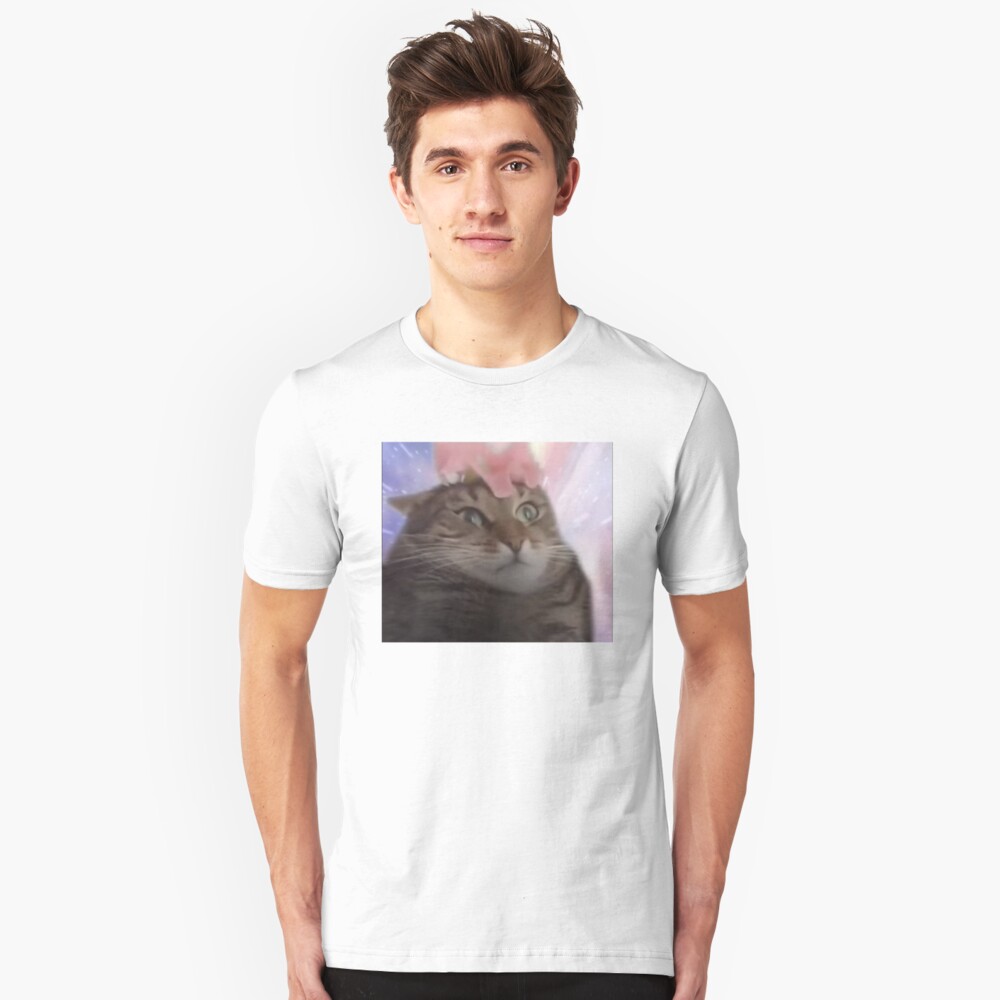 "Cat Transcendence" T-shirt by FlashmanBiscuit | Redbubble