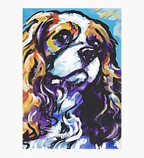 cavalier king charles spaniel Dog Bright colorful pop dog art Photographic Print