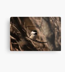 Didn't think you would get me here! Metal Print