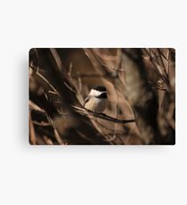Didn't think you would get me here! Canvas Print