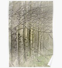 Dancing Trees Poster